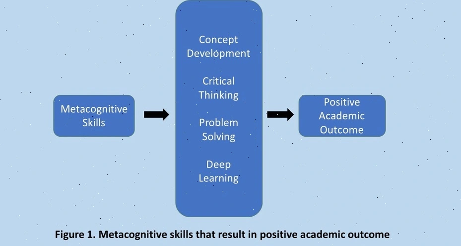 metacognitive entrepreneurship